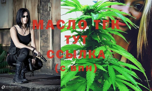 дмт Богданович