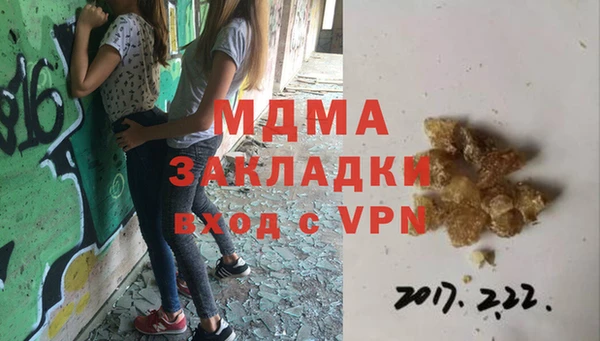 дмт Богданович