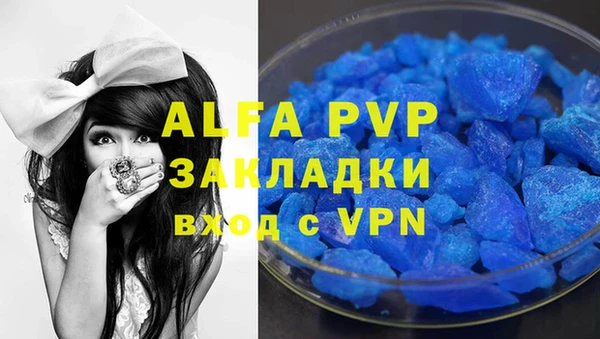 дмт Богданович