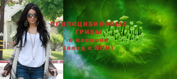 Альфа ПВП Богородицк